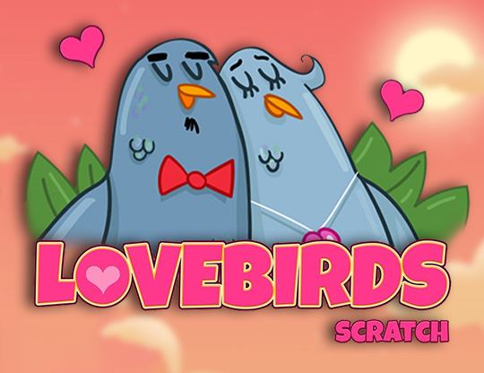 Lovebirds Scratch